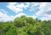 绿色星球——让地球充满绿色（用游戏引导行动）