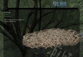 《征服的荣耀围城》中如何使用渔网（用渔网捕获敌人）