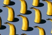 你能在啪啪风暴中横扫大陆吗？游戏策略和技巧是什么？