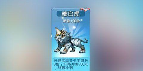 《天天酷跑》游戏中伊咪兔的实力解剖搭配揭秘（探索《天天酷跑》中伊咪兔的最强配装策略与技巧）  第1张