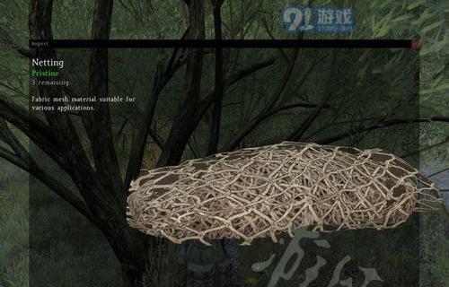 《征服的荣耀围城》中如何使用渔网（用渔网捕获敌人）  第1张