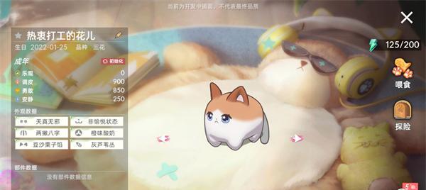 猫之城钓鱼玩法大全（探索猫之城钓鱼的无限乐趣）  第1张