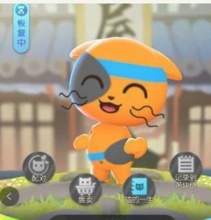 以猫去哪儿了小猫的愤怒——探究基因属性在游戏中的体现（基于游戏角度）  第2张