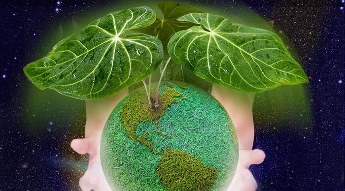 绿色星球——让地球充满绿色（用游戏引导行动）  第2张