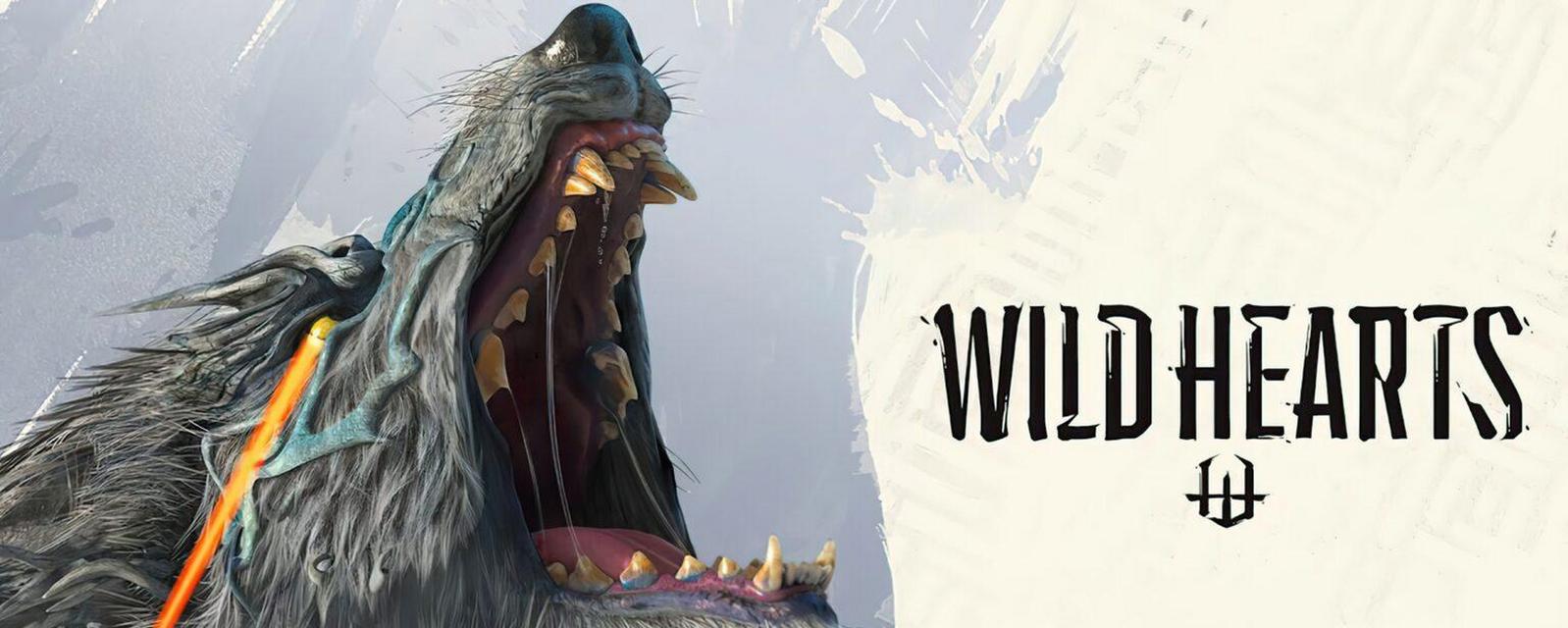 《狂野之心》中最强的武器是什么？如何根据武器强度进行选择？  第2张
