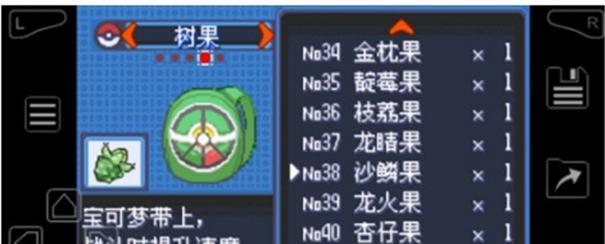 《口袋妖怪究极绿宝石53》如何击败四大天王？详细打法攻略是什么？  第2张