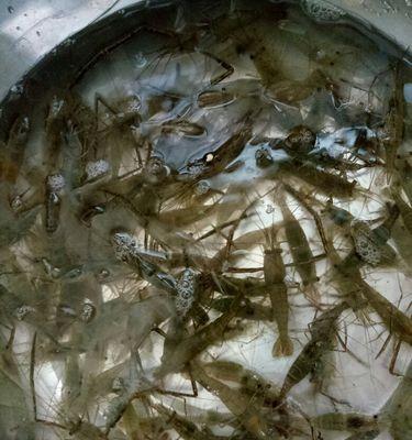 洪泽论坛的用途是什么？如何利用洪泽论坛解决问题？  第1张