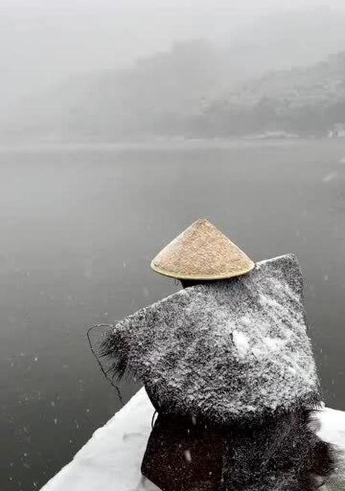 寒江孤影江湖故人是什么梗？背后的故事有哪些？  第3张